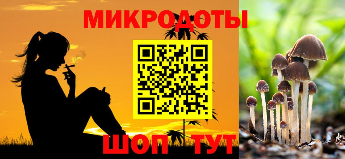 Псилоцибиновые грибы мухоморы Куйбышев